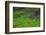 Batad Rice Terraces, World Heritage Site, Banaue, Luzon, Philippines-Michael Runkel-Framed Photographic Print