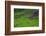 Batad Rice Terraces, World Heritage Site, Banaue, Luzon, Philippines-Michael Runkel-Framed Photographic Print