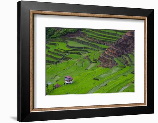 Batad Rice Terraces, World Heritage Site, Banaue, Luzon, Philippines-Michael Runkel-Framed Photographic Print