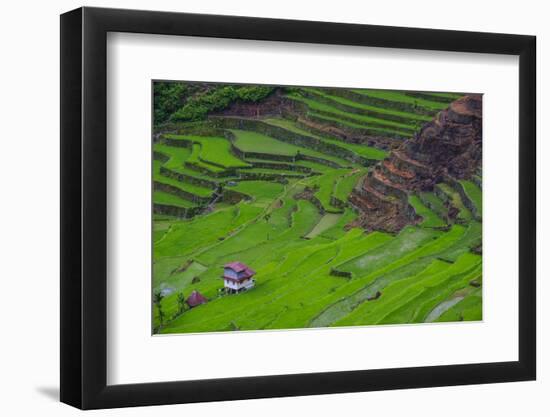 Batad Rice Terraces, World Heritage Site, Banaue, Luzon, Philippines-Michael Runkel-Framed Photographic Print