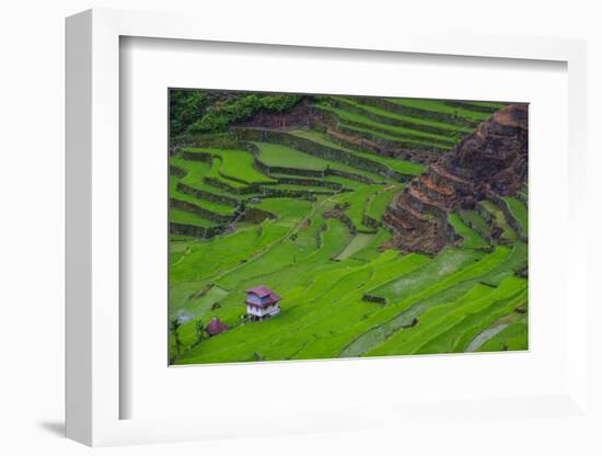 Batad Rice Terraces, World Heritage Site, Banaue, Luzon, Philippines-Michael Runkel-Framed Photographic Print