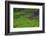 Batad Rice Terraces, World Heritage Site, Banaue, Luzon, Philippines-Michael Runkel-Framed Photographic Print