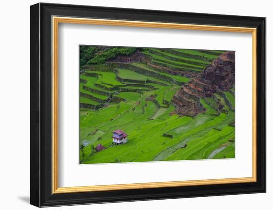 Batad Rice Terraces, World Heritage Site, Banaue, Luzon, Philippines-Michael Runkel-Framed Photographic Print