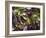 Batavia Lettuce-Rogge & Jankovic-Framed Photographic Print