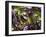 Batavia Lettuce-Rogge & Jankovic-Framed Photographic Print