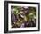 Batavia Lettuce-Rogge & Jankovic-Framed Photographic Print