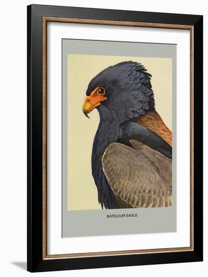 Bateleur Eagle-Louis Agassiz Fuertes-Framed Art Print