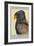 Bateleur Eagle-Louis Agassiz Fuertes-Framed Art Print