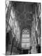 Premium Photographic Print
