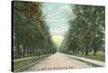 Stretched Canvas Print