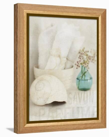 Bath I-Amy Melious-Framed Stretched Canvas