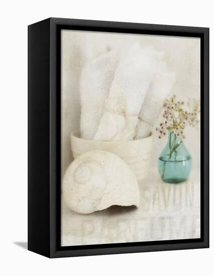 Bath I-Amy Melious-Framed Stretched Canvas