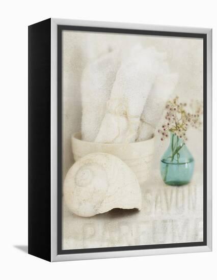 Bath I-Amy Melious-Framed Stretched Canvas