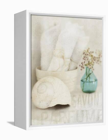 Bath I-Amy Melious-Framed Stretched Canvas