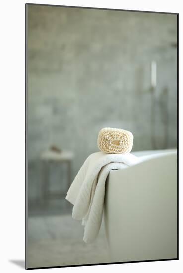 Bath is Ready II-Karyn Millet-Mounted Photographic Print