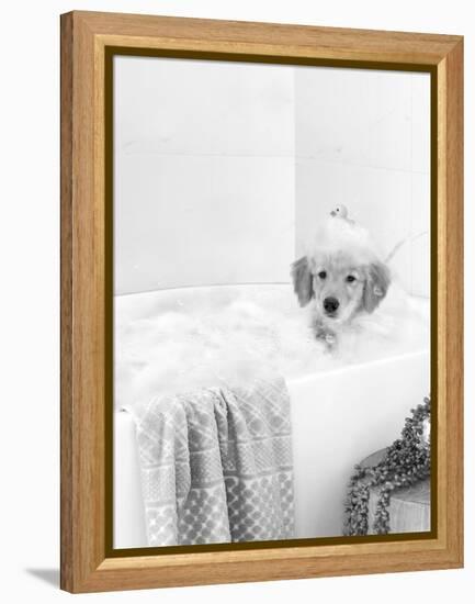 Bath Time Lab-Leah Straatsma-Framed Stretched Canvas