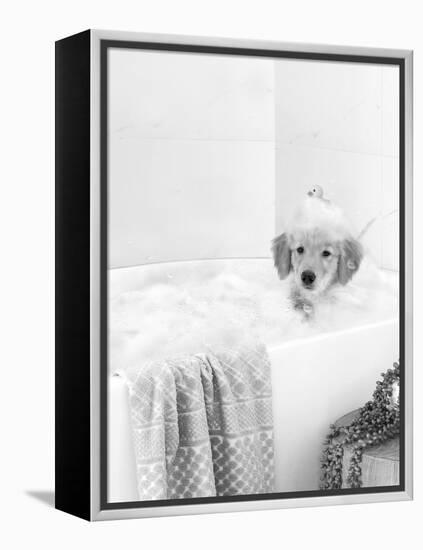 Bath Time Lab-Leah Straatsma-Framed Stretched Canvas