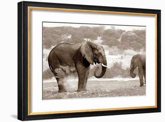 Bath Time-Jorge Llovet-Framed Giclee Print