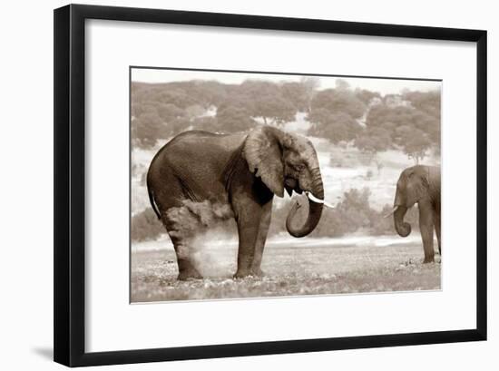 Bath Time-Jorge Llovet-Framed Giclee Print