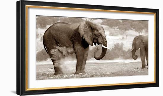 Bath Time-Jorge Llovet-Framed Art Print