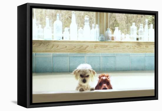 Bath Tub Buddies-Betsy Cameron-Framed Stretched Canvas