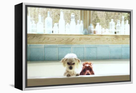 Bath Tub Buddies-Betsy Cameron-Framed Stretched Canvas