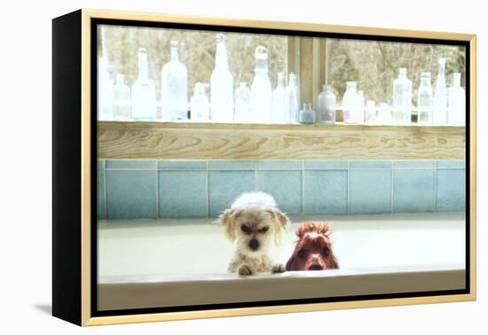 Bath Tub Buddies-Betsy Cameron-Framed Stretched Canvas