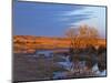 Bathed in Sunset Light the Calamus River in Loup County, Nebraska, USA-Chuck Haney-Mounted Photographic Print