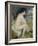 Bather Drying Herself, 1883-Pierre-Auguste Renoir-Framed Giclee Print