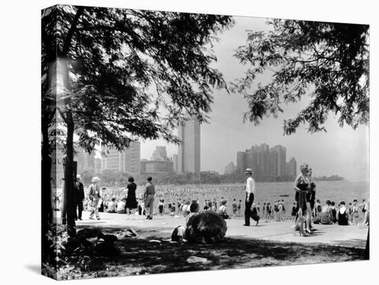 Stretched Canvas Print, , large