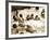 Bathers Playing in the Sea 1920s-null-Framed Photographic Print