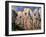 Bathers-Paul Cézanne-Framed Giclee Print