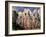 Bathers-Paul Cézanne-Framed Art Print