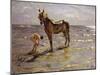 Bathing a Horse, 1905-Valentin Aleksandrovich Serov-Mounted Giclee Print