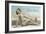 Bathing Beauty on Ocean Beach, San Diego, California-null-Framed Art Print