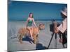 Bathing Beauty Sitting on Back of Large Tiger on Beach as Photographer Sets Up Camera-Eliot Elisofon-Mounted Photographic Print