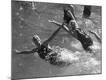 Premium Photographic Print