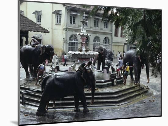 Bathing Elephants in Fountain, Kandy, Sri Lanka-Alain Evrard-Mounted Photographic Print