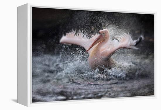 Bathing Fun-Antje Wenner-Braun-Framed Premier Image Canvas