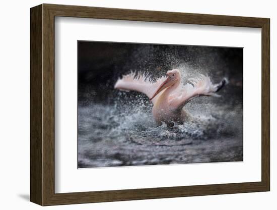 Bathing Fun-Antje Wenner-Braun-Framed Photographic Print