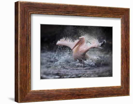 Bathing Fun-Antje Wenner-Braun-Framed Photographic Print