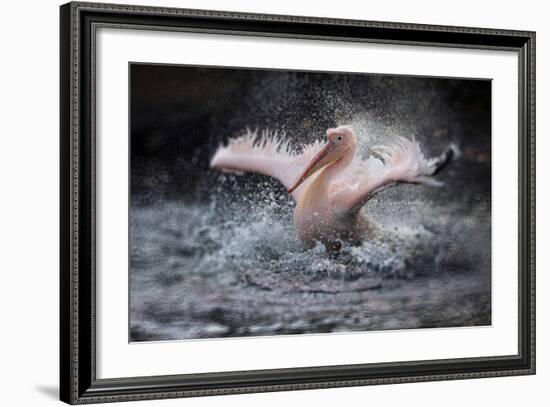 Bathing Fun-Antje Wenner-Braun-Framed Photographic Print