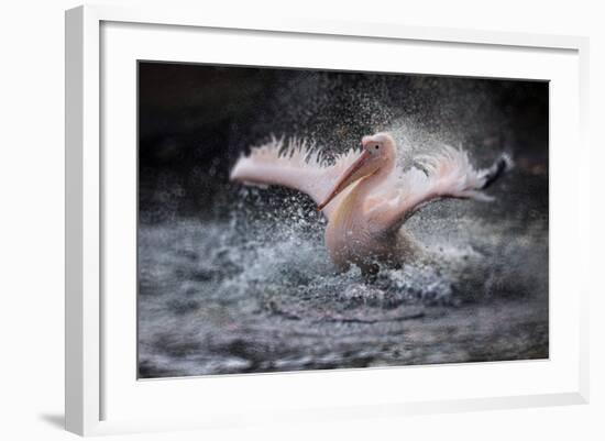 Bathing Fun-Antje Wenner-Braun-Framed Photographic Print