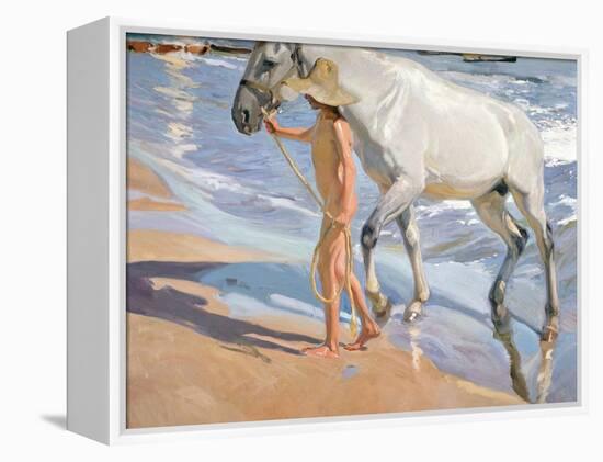 Bathing of a Horse-Joaquín Sorolla y Bastida-Framed Premier Image Canvas