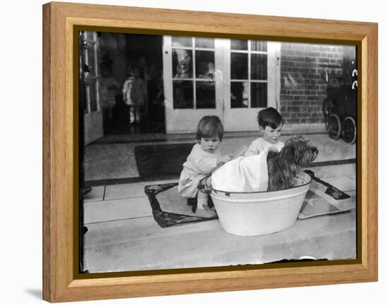 Bathing the Dog-null-Framed Premier Image Canvas