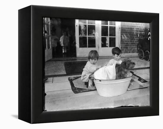 Bathing the Dog-null-Framed Premier Image Canvas