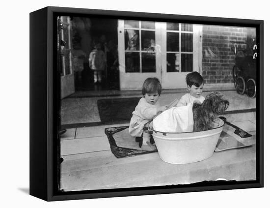 Bathing the Dog-null-Framed Premier Image Canvas