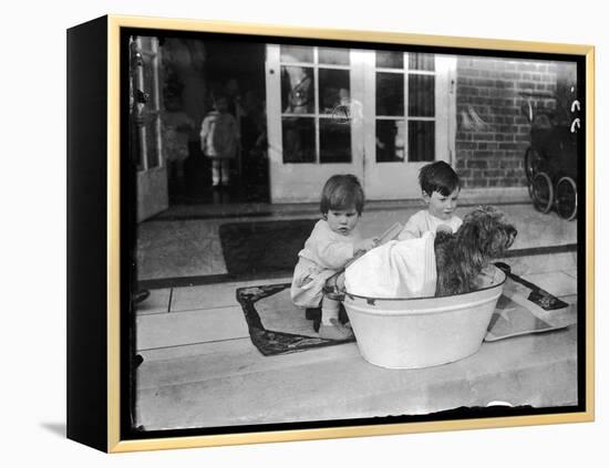 Bathing the Dog-null-Framed Premier Image Canvas