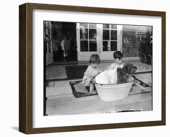 Bathing the Dog-null-Framed Photographic Print