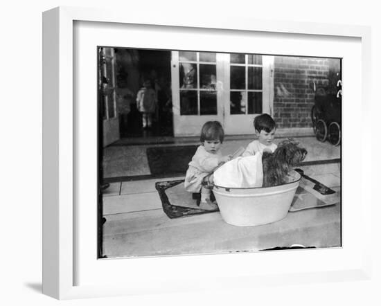 Bathing the Dog-null-Framed Photographic Print